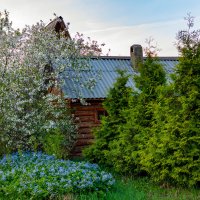 Весна :: Петр 