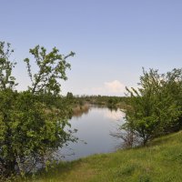 Местная река. :: Виктор 
