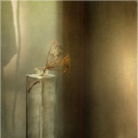 *-* :: Oleg Rastorguev