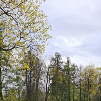 Весна в парке :: Хватова Марина 