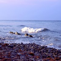 Волна... :: Александр 