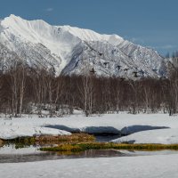 ... :: Жора Житников ... :: Жора Житников