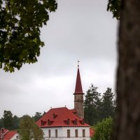 За кроной дерева виднеется Приоратский дворец :: Анастасия Белякова