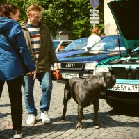 Понравилось авто :: Магомед .