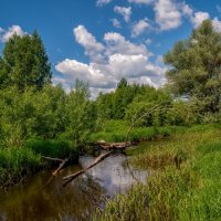 На исходе мая 2. :: Андрей Дворников
