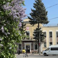 Весна в городе. :: Татьяна Весна в городе. :: Татьяна
