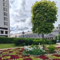 Украшение города :: Елена Семигина Украшение города :: Елена Семигина