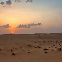 UAE 67 :: Arturs Ancans