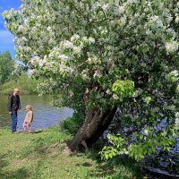 Май уходящий :: Мария Васильева
