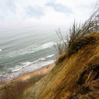 В туманный день :: Сергей Карачин