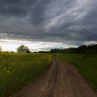 ненастье :: Алексей Клименко