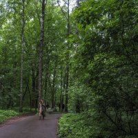 Прогулки в Весеннем Парке :: юрий поляков Прогулки в Весеннем Парке :: юрий поляков