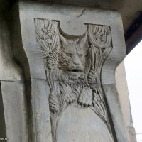 Какая-то бРысь на петроградской стене :: Игорь Корф Какая-то бРысь на петроградской стене :: Игорь Корф