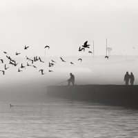 Зарисовки туманной зимы. :: Анатолий Щербак Зарисовки туманной зимы. :: Анатолий Щербак
