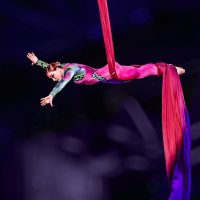 Гимнастика :: SanSan 