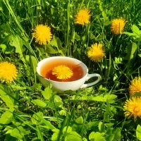 Солнечное утро на даче! :: Нина Андронова Солнечное утро на даче! :: Нина Андронова