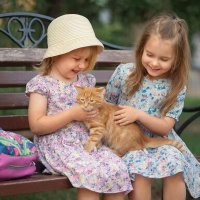 Любимый котик :: СЕРГЕЙ ФИЛОЧКИН