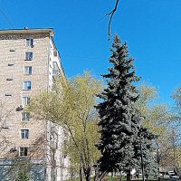 Апрель. :: Владимир Драгунский Апрель. :: Владимир Драгунский