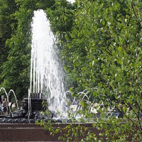 природа в городе :: Олег Лукьянов природа в городе :: Олег Лукьянов
