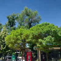 Almaty. :: Murat Bukaev 