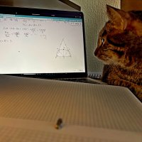 Кот-математик. :: Vladimir Semenchukov