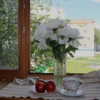 Белые пионы :: Венера Чуйкова Белые пионы :: Венера Чуйкова