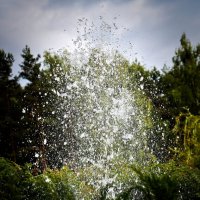 фонтан - водяное древо :: Артём Евтюхов фонтан - водяное древо :: Артём Евтюхов