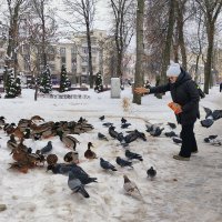 Кормёшка :: Василий Королёв