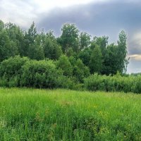 * * * :: Андрей Лукьянов * * * :: Андрей Лукьянов