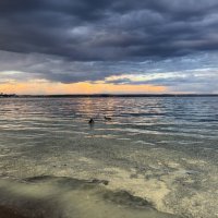 . :: Алексей Неустроев