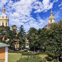 Над крышами Петропавловки :: Евгений