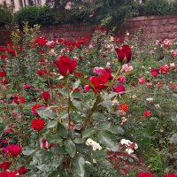 Almaty. :: Murat Bukaev 
