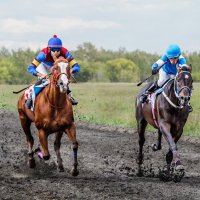 Скачки :: SanSan 