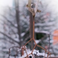 Люстра :: Денис Масленников Люстра :: Денис Масленников