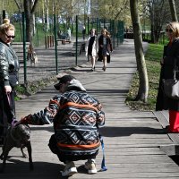 2.Скамейки, люди и собаки :: Юрий Велицкий 2.Скамейки, люди и собаки :: Юрий Велицкий