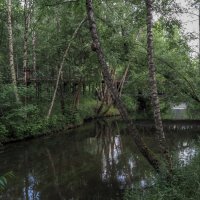 У Тихой Воды :: юрий поляков У Тихой Воды :: юрий поляков