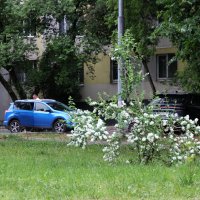 Город :: Олег 