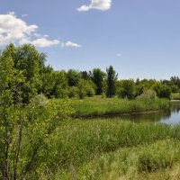 Местные зарисовки. :: Виктор Местные зарисовки. :: Виктор