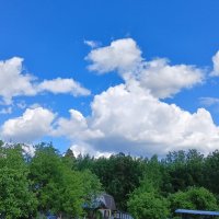 разборки :: Владимир 