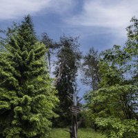 *** :: Николай *** :: Николай