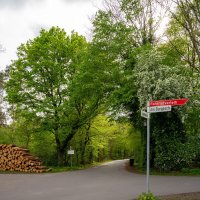 На перекрёстке лесопарка... :: Николай Гирш