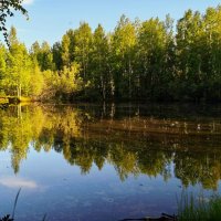 Вечер в парке :: Александр 
