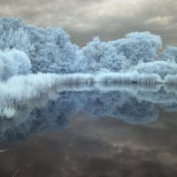 В голубом сне... :: Николай Гирш В голубом сне... :: Николай Гирш
