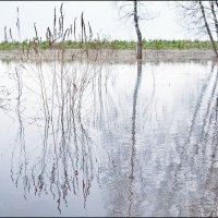 Талая вода :: **** vedin Талая вода :: **** vedin