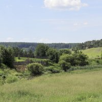 Окраина деревни. :: Александр Николаев Окраина деревни. :: Александр Николаев