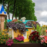 Фестиваль цветов :: Ирина Соловьёва Фестиваль цветов :: Ирина Соловьёва