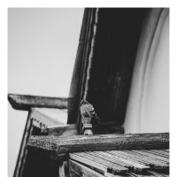 Крыши Великого Новгорода. :: Svyatoslav [Artisan] Ph.