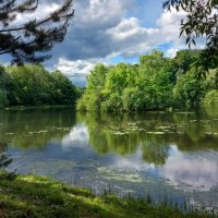 Старый пруд. :: Владимир Безбородов Старый пруд. :: Владимир Безбородов