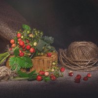 Аромат лета :: Svetlana Galvez Аромат лета :: Svetlana Galvez