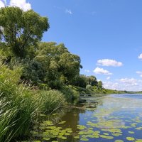 На реке Угре :: Татьяна Тюменка
